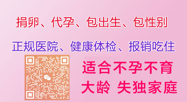 深圳助孕手机端广告1