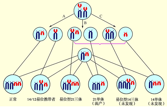 怀过唐氏儿可以做试管婴儿吗？